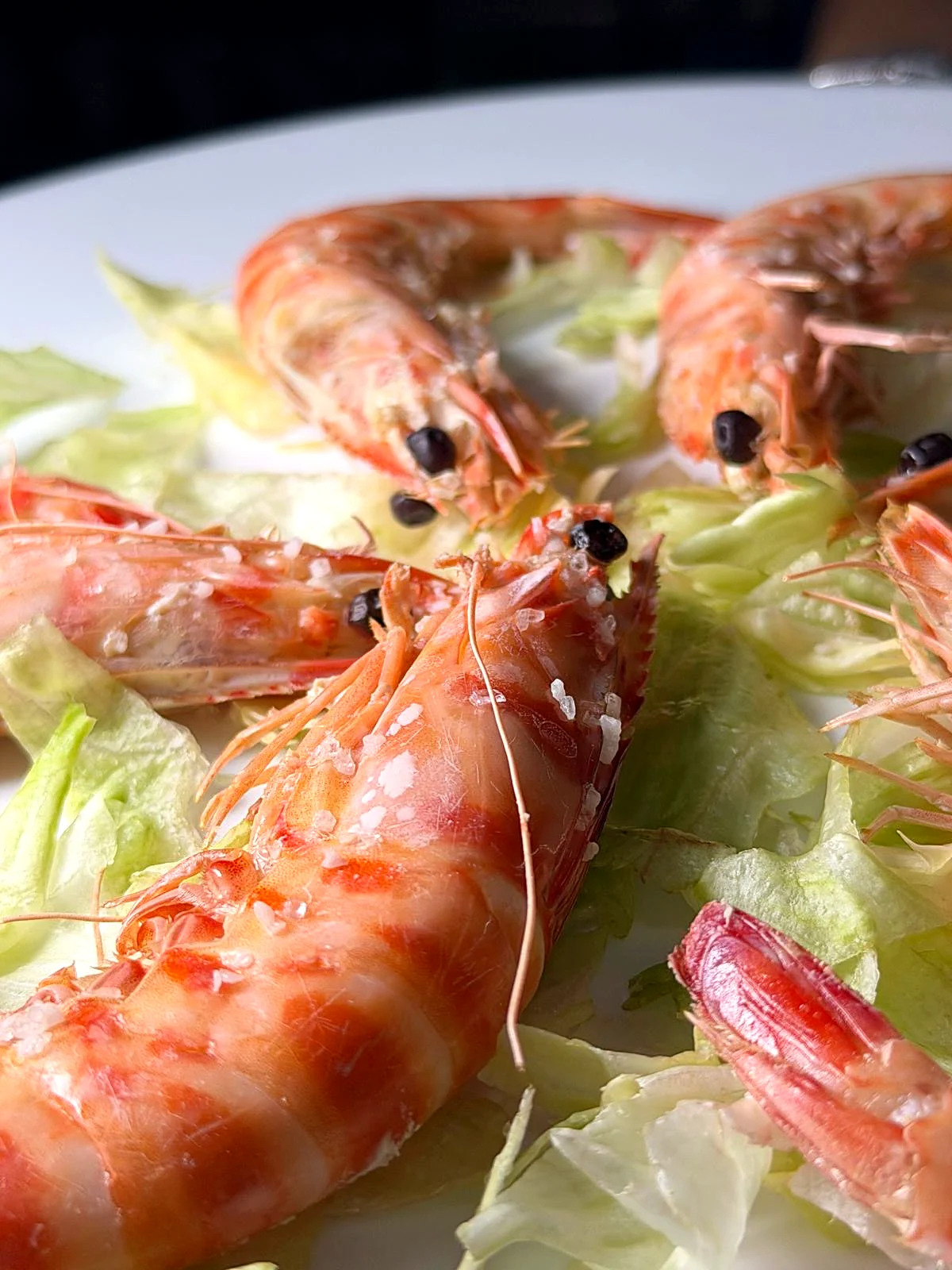 Langostinos de Sanlúcar cocidos con sal gruesa sobre lechuga